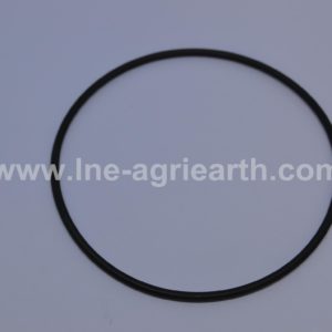 6194006M1 TEREX O-Ring