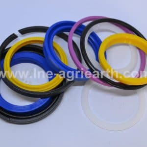 219000031 RANDON Seal Kit