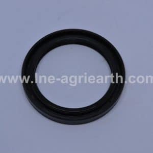 219000484 RANDON Seal