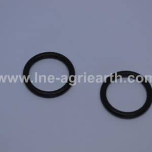 219000573 RANDON O-Ring