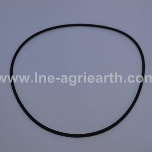 881012900 LUIGONG O-Ring