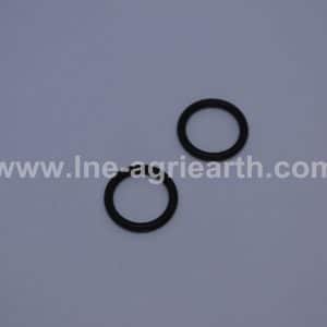 RLP 05000169 RISA ROUX O-Ring