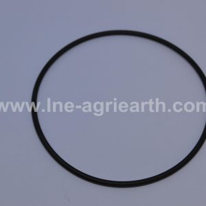 Y00734 ERKUNT O-Ring